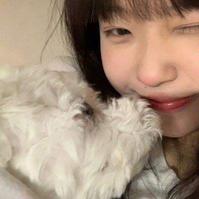 乐鱼app官方下载